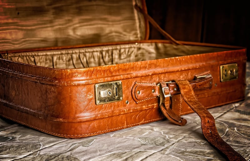 Vintage Suitcase Pet Bed